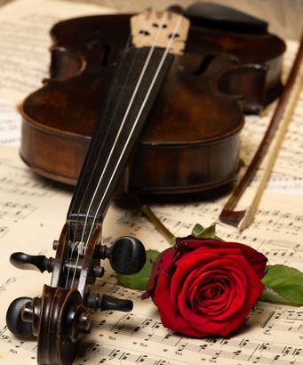 Violin med rød rose